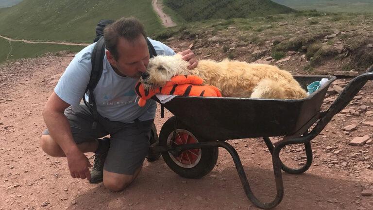 Man takes dog dying of cancer for one last walk up mountain in wheelbarrow | Fox News