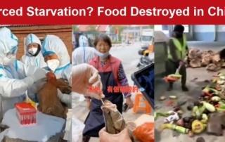 https://healthimpactnews.com/wp-content/uploads/sites/2/2022/04/food-destruction-in-China-starvation-320x202.jpg