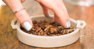 Why the west needs to wake up to edible insects