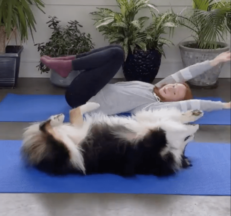 Adorable Viral Video Shows Dog Doing Yoga With Her Owner