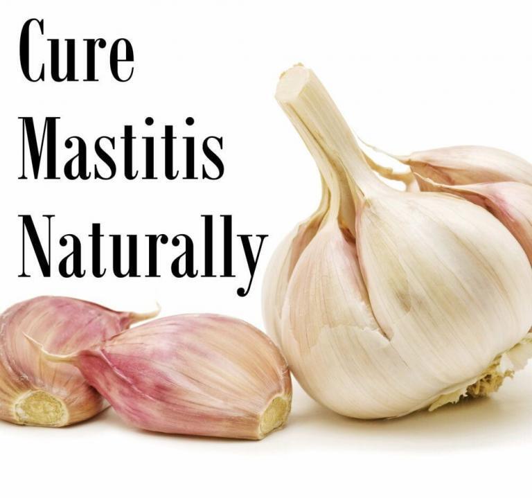 Garlic And Fenu Greek Are Best Natural Treatment For Mastitis