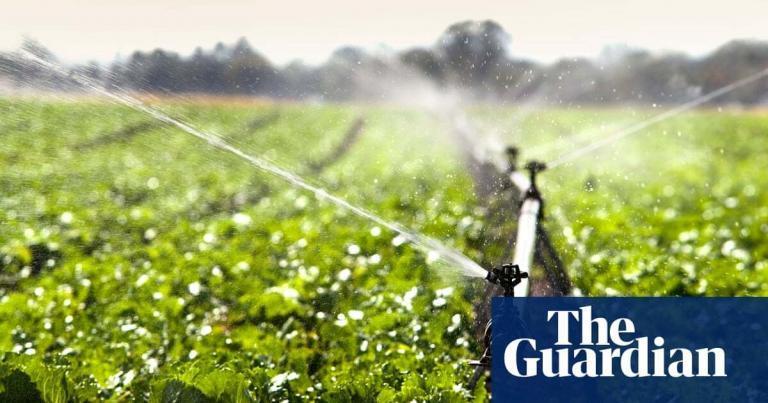 Organic food production may be key to saving our land  | Letters | The Guardian