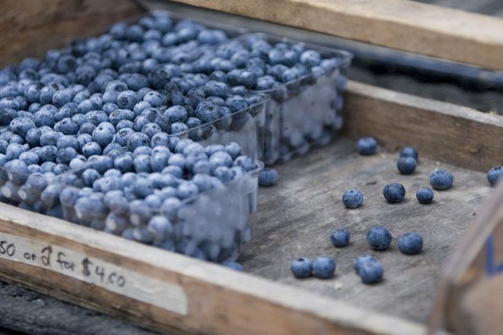 Visit NC farms to get the amazing health benefits of blueberries  :: WRAL.com