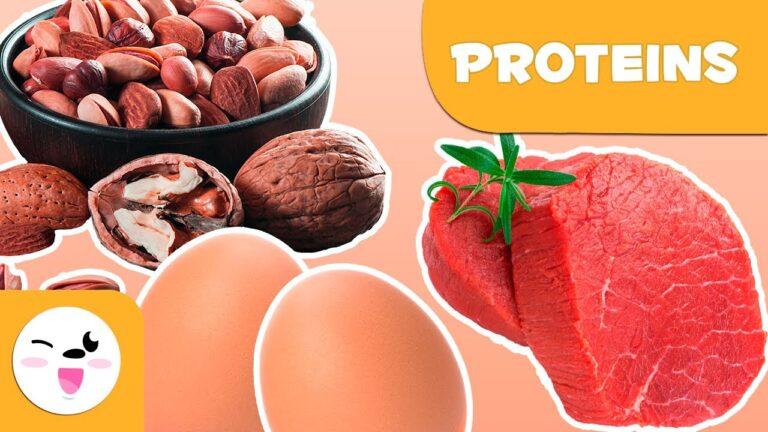 What are proteins? - Healthy Eating for Kids