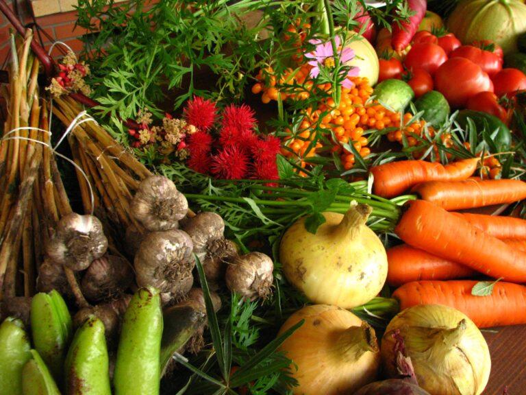 Ignore the Prophets of Doom – Organic food can feed the world – OffGuardian