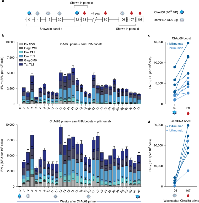 Individualized, heterologous chimpanzee adenovirus and self-amplifying mRNA neoantigen vaccine for advanced metastatic solid tumors: phase 1 trial interim results | Nature Medicine