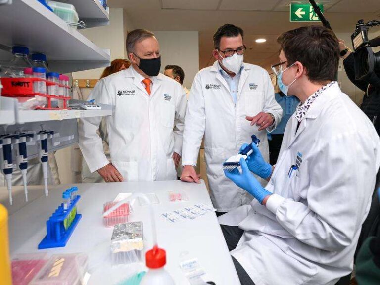 Melbourne uni to host mRNA vaccine factory | Shepparton News