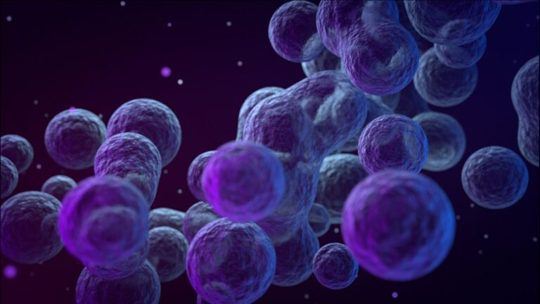 NK Cells Protect Against Viral Disease And Tumors | Holistic Health Online