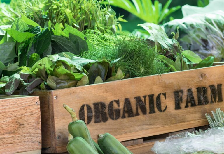 What You Need to Know About Organic Food