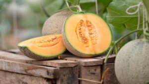 Cantaloupe: Health benefits & nutrition facts | Live Science