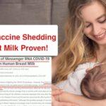 JAMA: mRNA Vaccine Shedding in Breast Milk Proven!