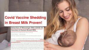 JAMA: mRNA Vaccine Shedding in Breast Milk Proven!