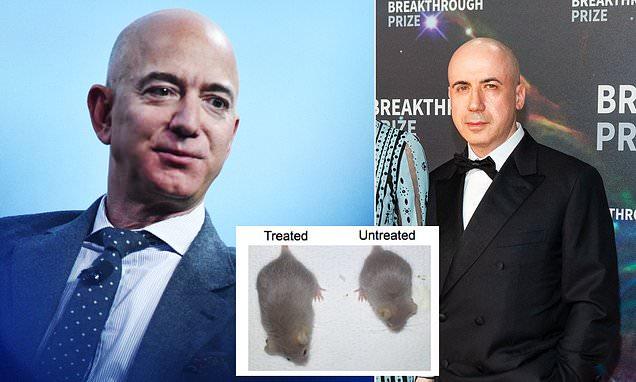 Jeff Bezos and Yuri Milner fund anti-aging start up | Daily Mail Online