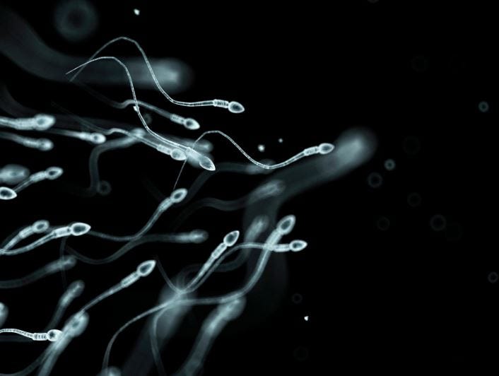 Pfizer, FDA, CDC Hid Proven Harms to Male Sperm Quality, Testes Function, From mRNA Vaccine Ingredients - Global ResearchGlobal Research - Centre for Research on Globalization