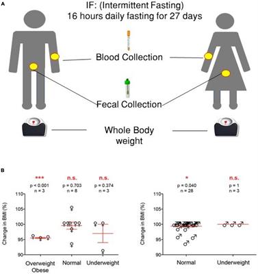 Frontiers | Intermittent fasting positively modulates human gut microbial diversity and ameliorates blood lipid profile