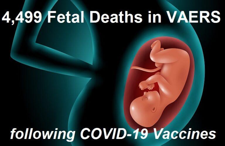 4,500 Dead Babies in VAERS From Pregnant Women Injected with COVID Shots, but Florida Only Pulls COVID Vaccine Recommendation for Young Men
