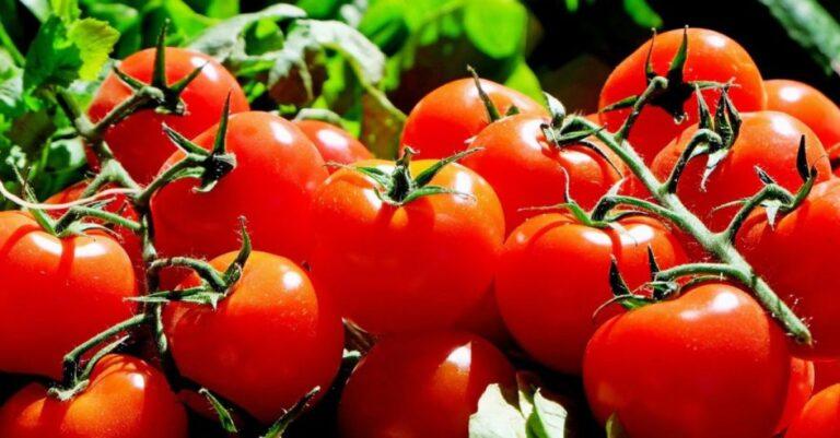 Organic Food Sales In Italy Worth €5bn, Study Finds | ESM Magazine