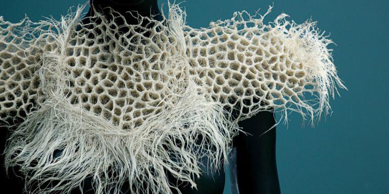 zena holloway's bio-designs are grown entirely from roots