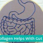 Collagen for Gut Health: Why It Works