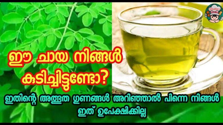 Moringa Tea||Moringa Ila Chaya||Healthy Tea||Weight Loss tea||Benifits of Moringa Tea||Healthy Chaya