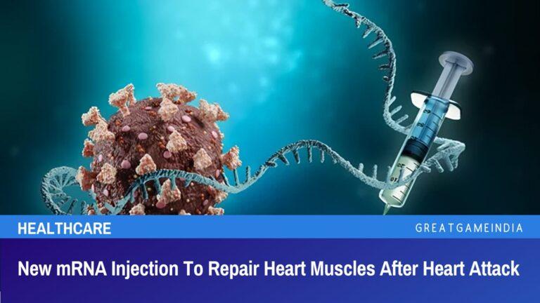 New mRNA Vaccine To Repair Heart Muscles After Heart Attack - GreatGameIndia