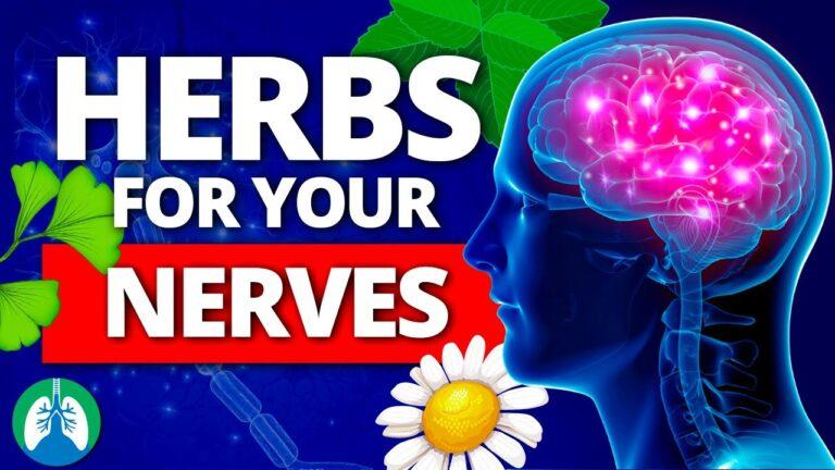 Top 10 Best Herbs for Your Nerves (Nervous System Boost)