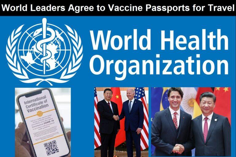 Universal Vaccine Passports Plan Unites the World