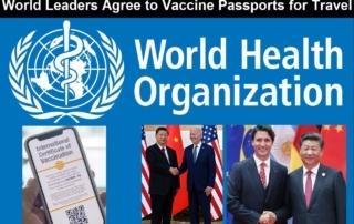 https://healthimpactnews.com/wp-content/uploads/sites/2/2022/11/World-leaders-agree-to-vaccine-passports-for-international-travel-320x202.jpg