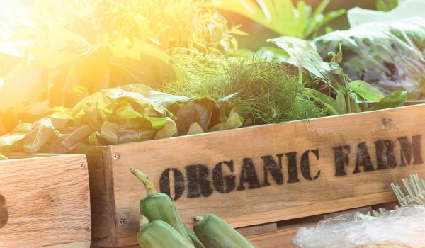 10 Reasons Organic Food Is Better for You and the Planet | Wake Up World