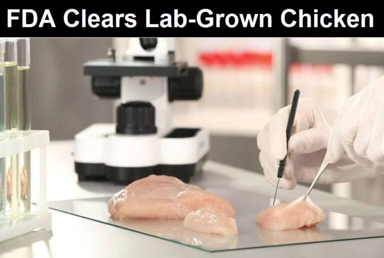 ALERT! FDA Clears “Chicken” Grown in a Laboratory by Medical Doctor