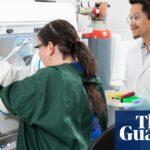 Australia gives world-first approval for faecal transplants to restore gut health | Health | The Guardian