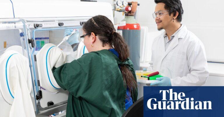 Australia gives world-first approval for faecal transplants to restore gut health | Health | The Guardian
