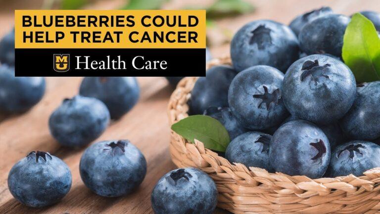 Blueberries Give A Boost To Cervical Cancer Therapy