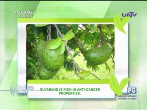 Foods that fight breast cancer tumors