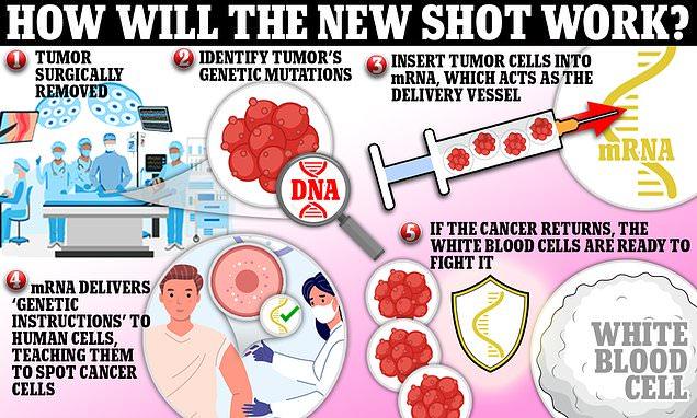 'New paradigm' moment as mRNA cancer vaccine slashes risk of tumor relapse or death | Daily Mail Online