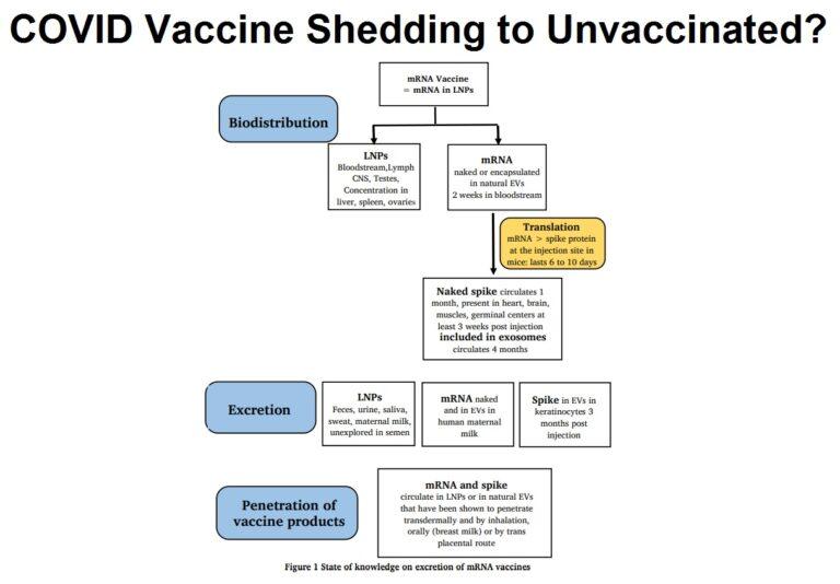 Recent Studies Suggest COVID-19 Vaccinated People are Infecting Unvaccinated People
