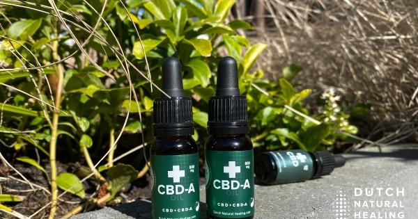 What is CBD-A Oil? Discover the benefits of Cannabidiolic-acid - Dutch Natural Healing