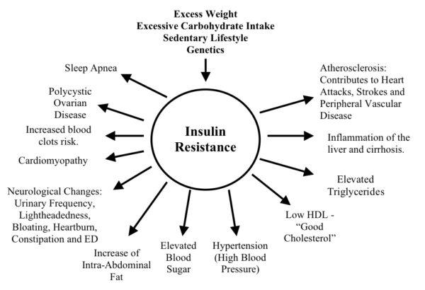 35 Insulin Resistance Expert Talks [unlocked All Weekend] | Holistic Health Online
