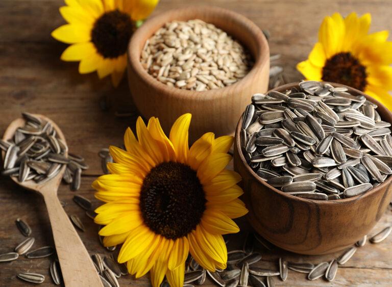 4 Side Effects of Eating Sunflower Seeds, Says Dietitian — Eat This Not That