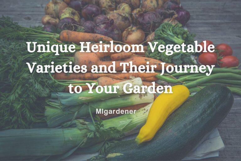Unique Heirloom Vegetable Varieties and Their Journey to Your Garden – MIgardener