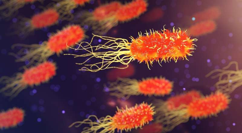 https://scx1.b-cdn.net/csz/news/800a/2022/bacteria-2.jpg