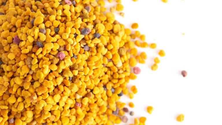 Bee Pollen: A Survival Food With Extraordinary Health Benefits