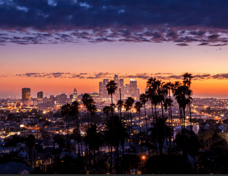 Project Turn - Los Angeles Alternative Policing with Yoga, Meditation, Healing Circles ⋆ Conservative Firing Line