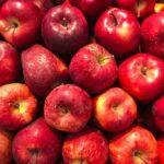 Best Anti-Cancer Foods: Top 5 Superfoods Most Recommended by Experts - Study Finds