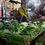 Hun Sen calls for organic food, international safety standards
