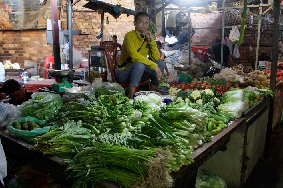 Hun Sen calls for organic food, international safety standards