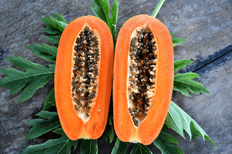 Reflux and natural remedies: Papaya