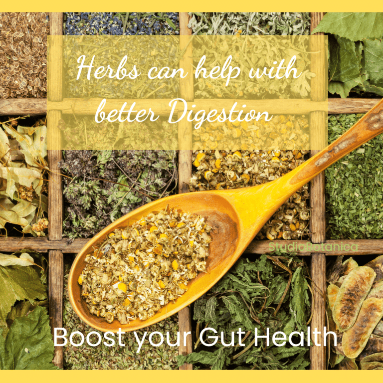 Boost your gut health ~ some ideas! - Studio Botanica