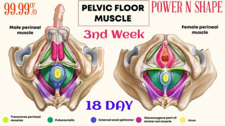Pelvic floor muscles exercise for male👉6 Best Kegel Exercises👉Impressions Pelvic Floor Strengthening