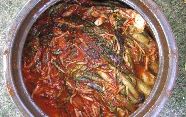 Science Shows Why Traditional Kimchi Making Works So Well - Scientific American